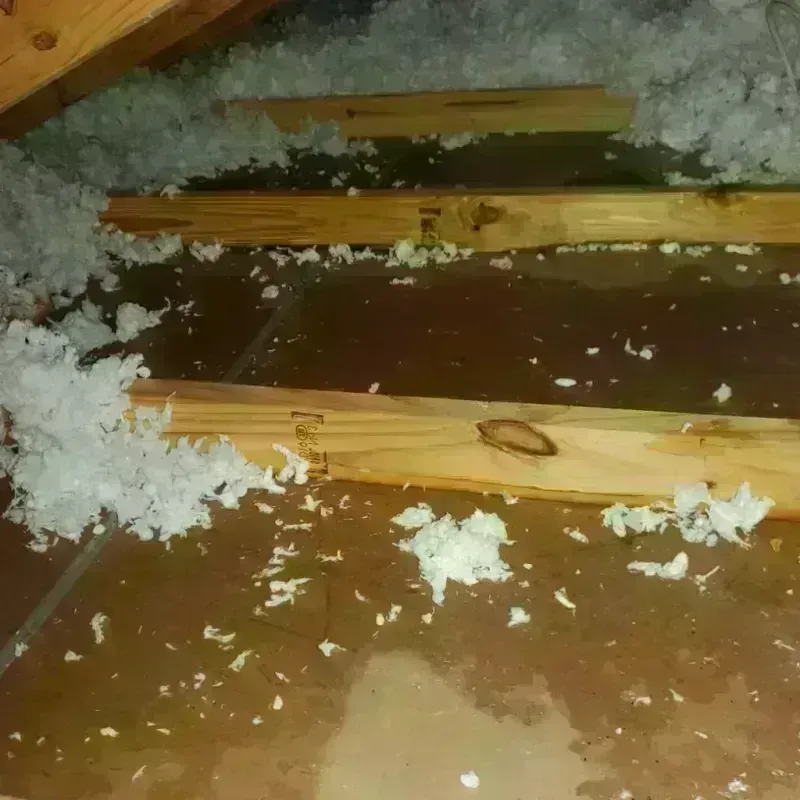 Attic Water Damage in Corrigan, TX