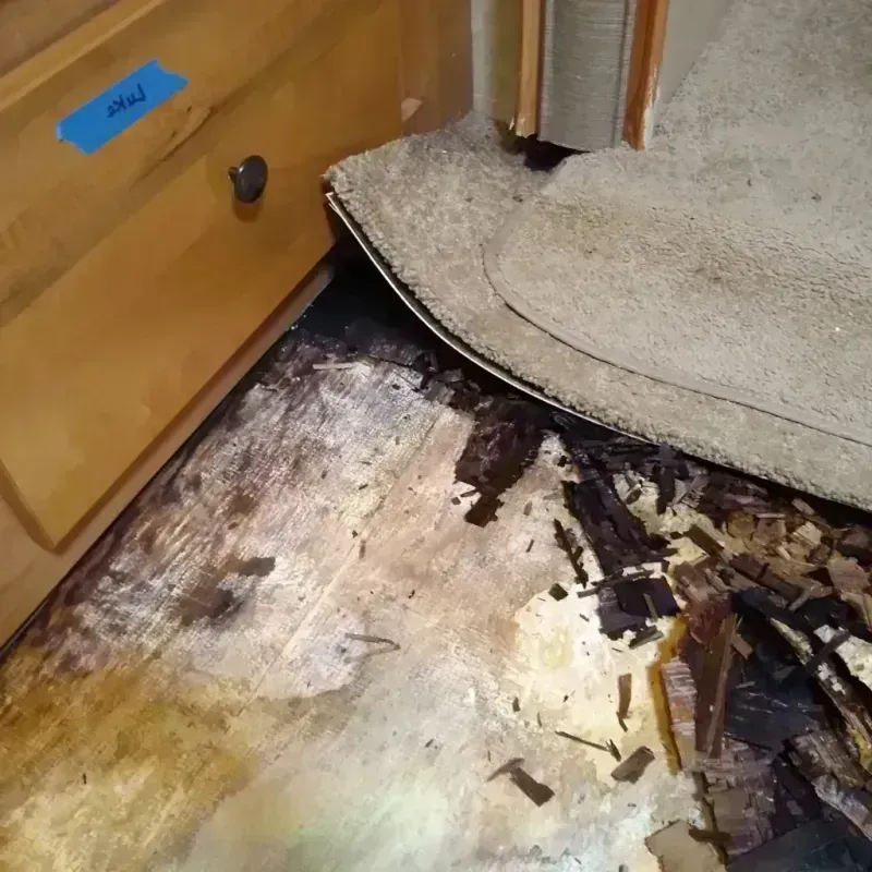 Best Wood Floor Water Damage Service in Corrigan, TX